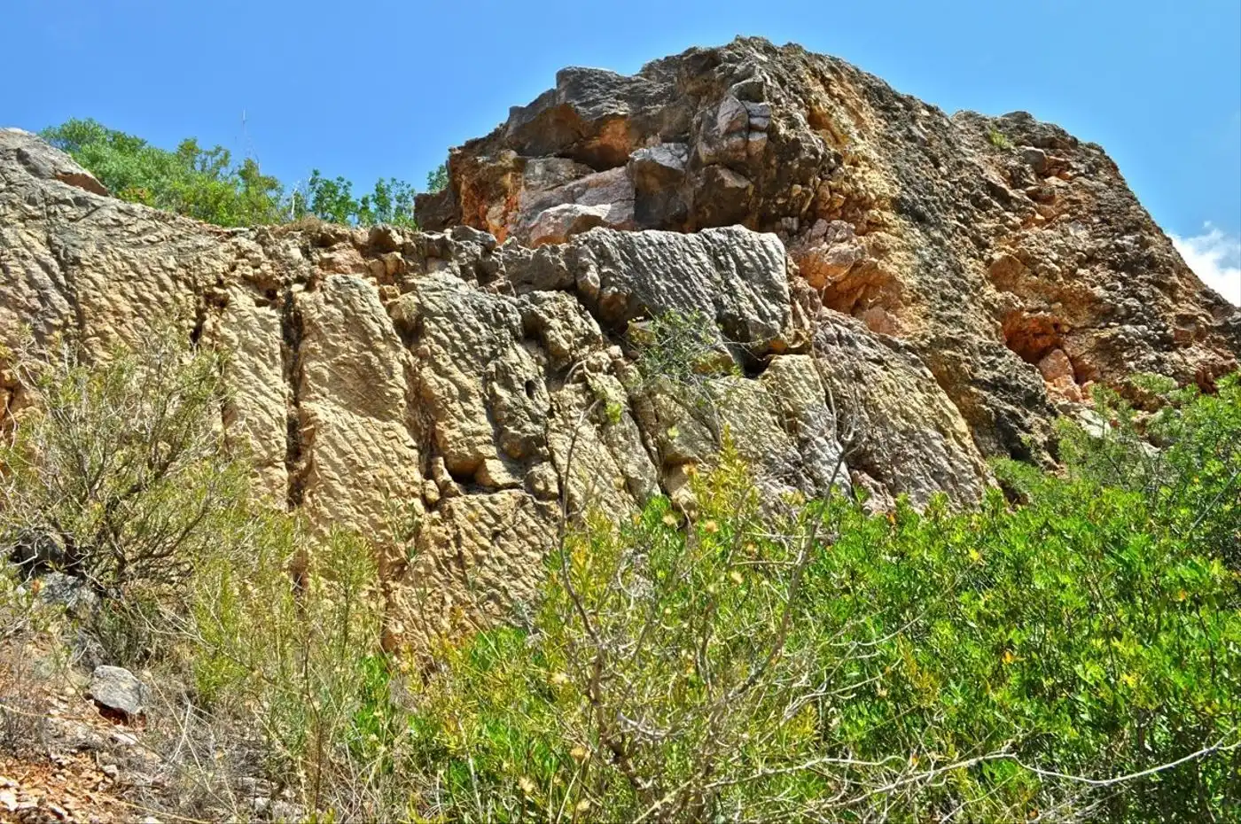 Land for sale in Camí del Barranc de la Llet, 26, Sant Llàtzer