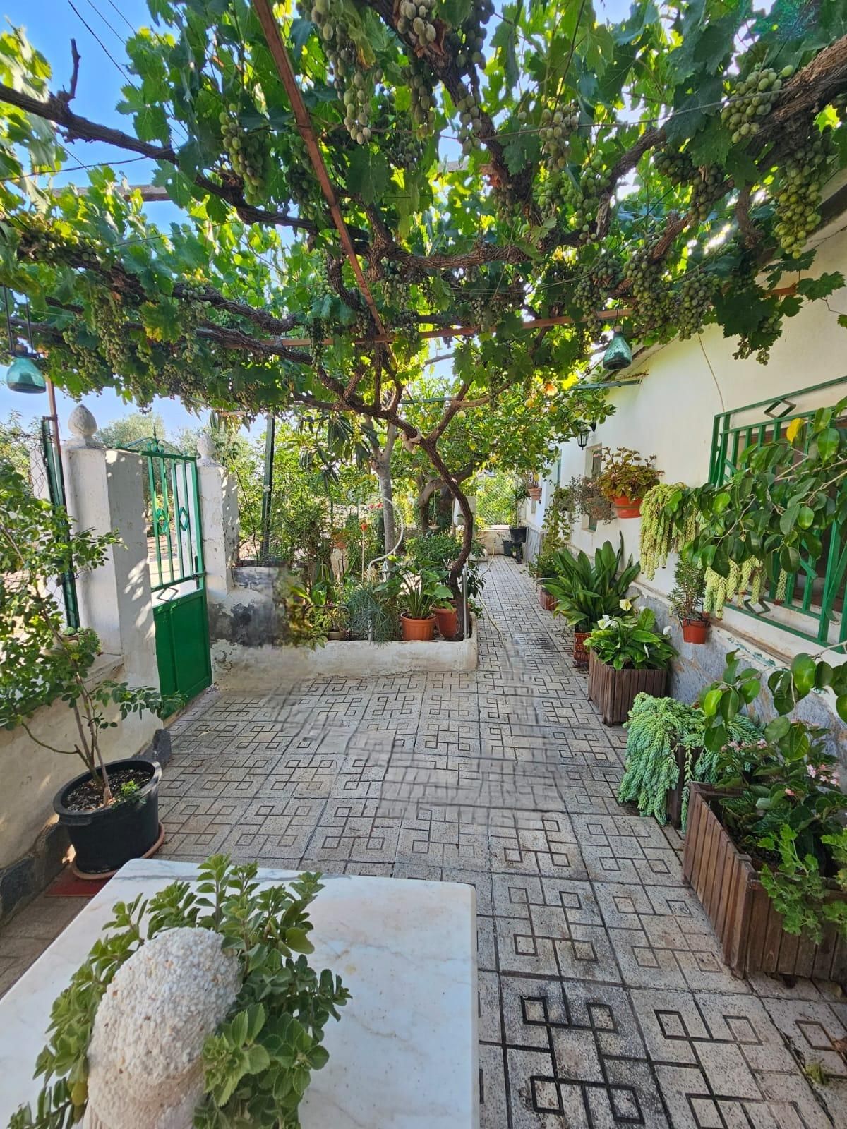 Finca rústica en venda a Jerónimo y Avileses