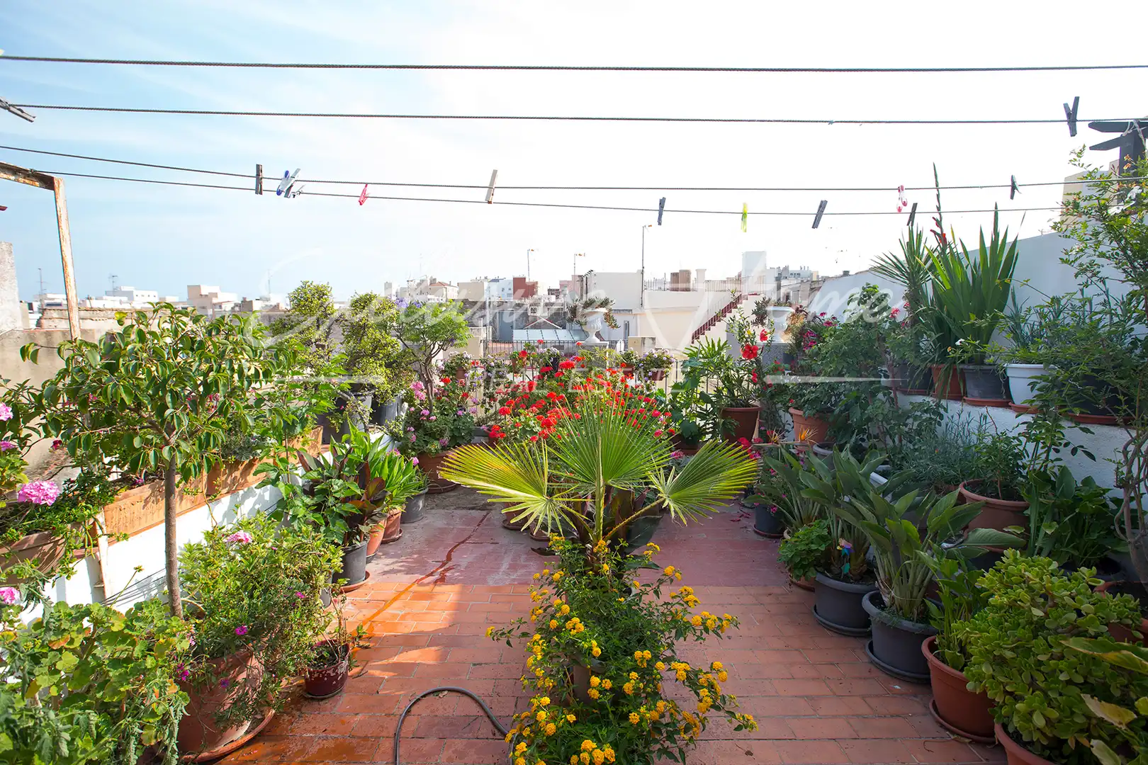 Mixte résidentiel à vendre à Carrer Major, imagen 40