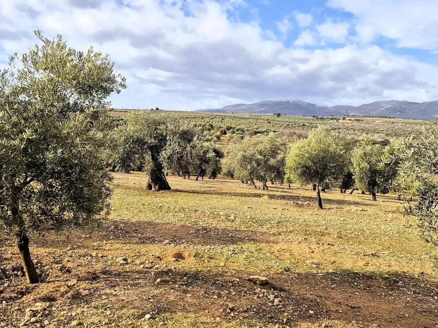 Terreno residencial en venta en Salar, imagen 5