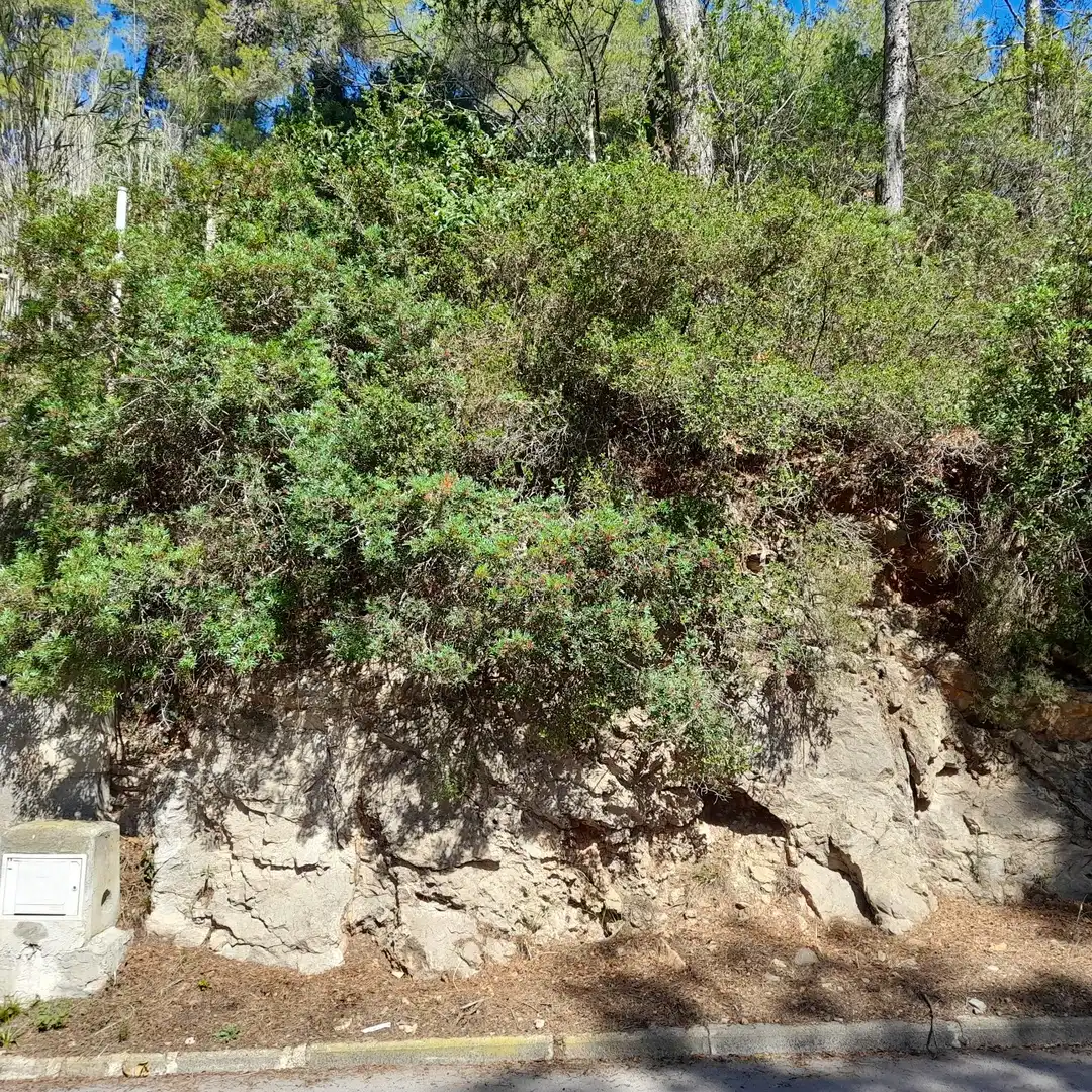 Residential land for sale in Olesa De Bonesvalls, imagen 4