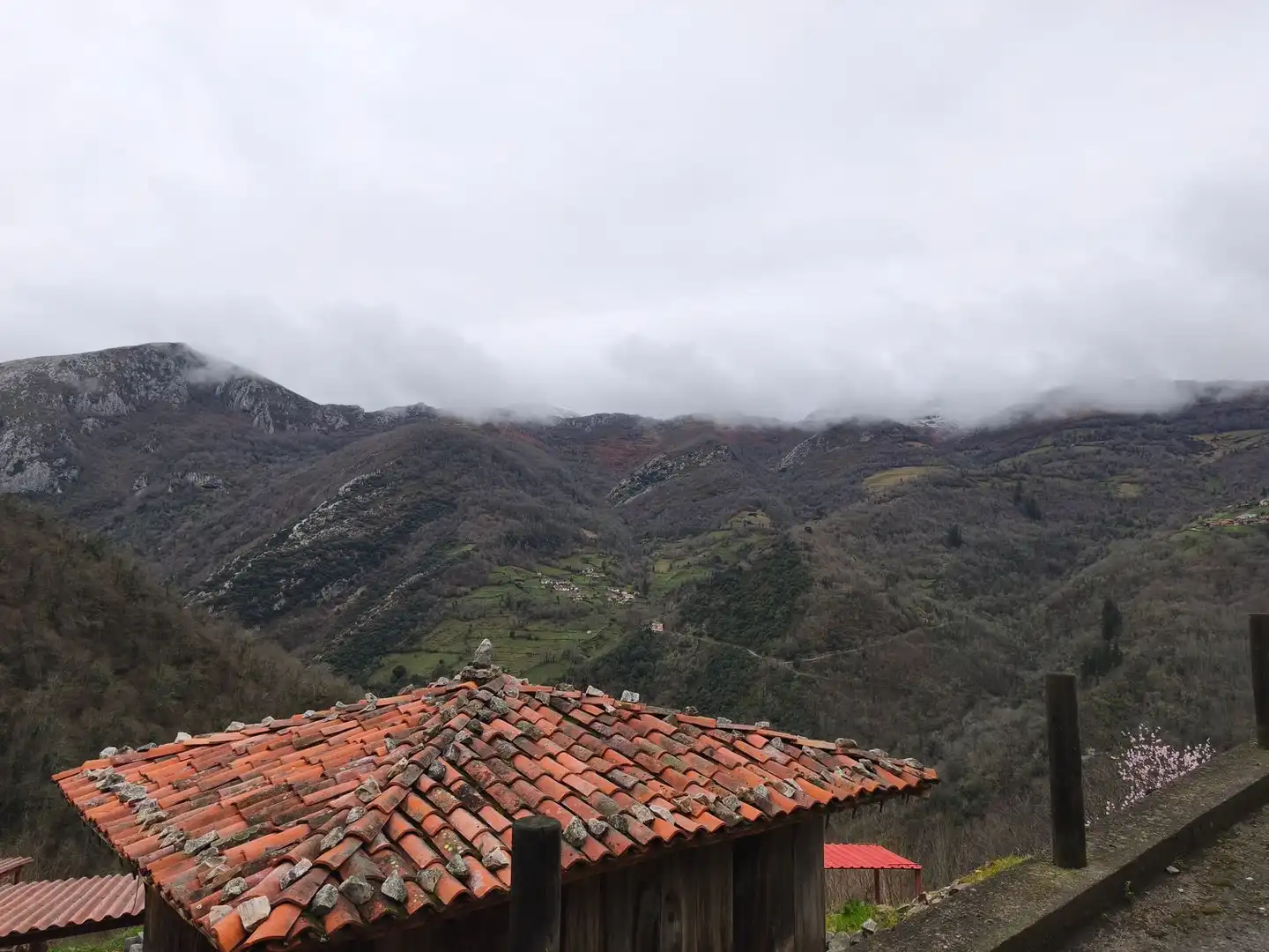 Vista exterior de Casa o chalet en venta en Proaza con Piscina