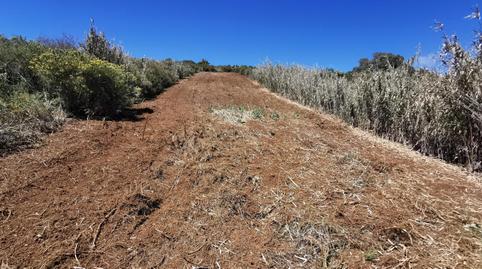 Photo 5 of Land for sale in San Lorenzo, Las Palmas