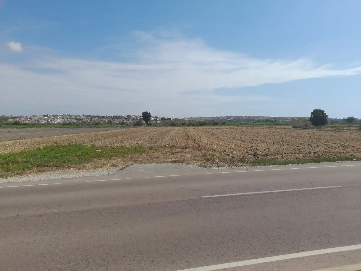 Terreno rústico en venta en Partida lo Pedreño 251