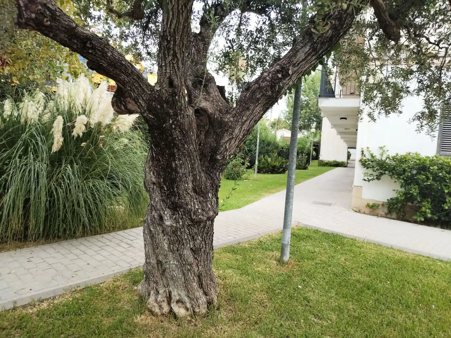 Vista exterior de Planta baja de alquiler en Cambrils con Aire acondicionado, Calefacción y Terraza
