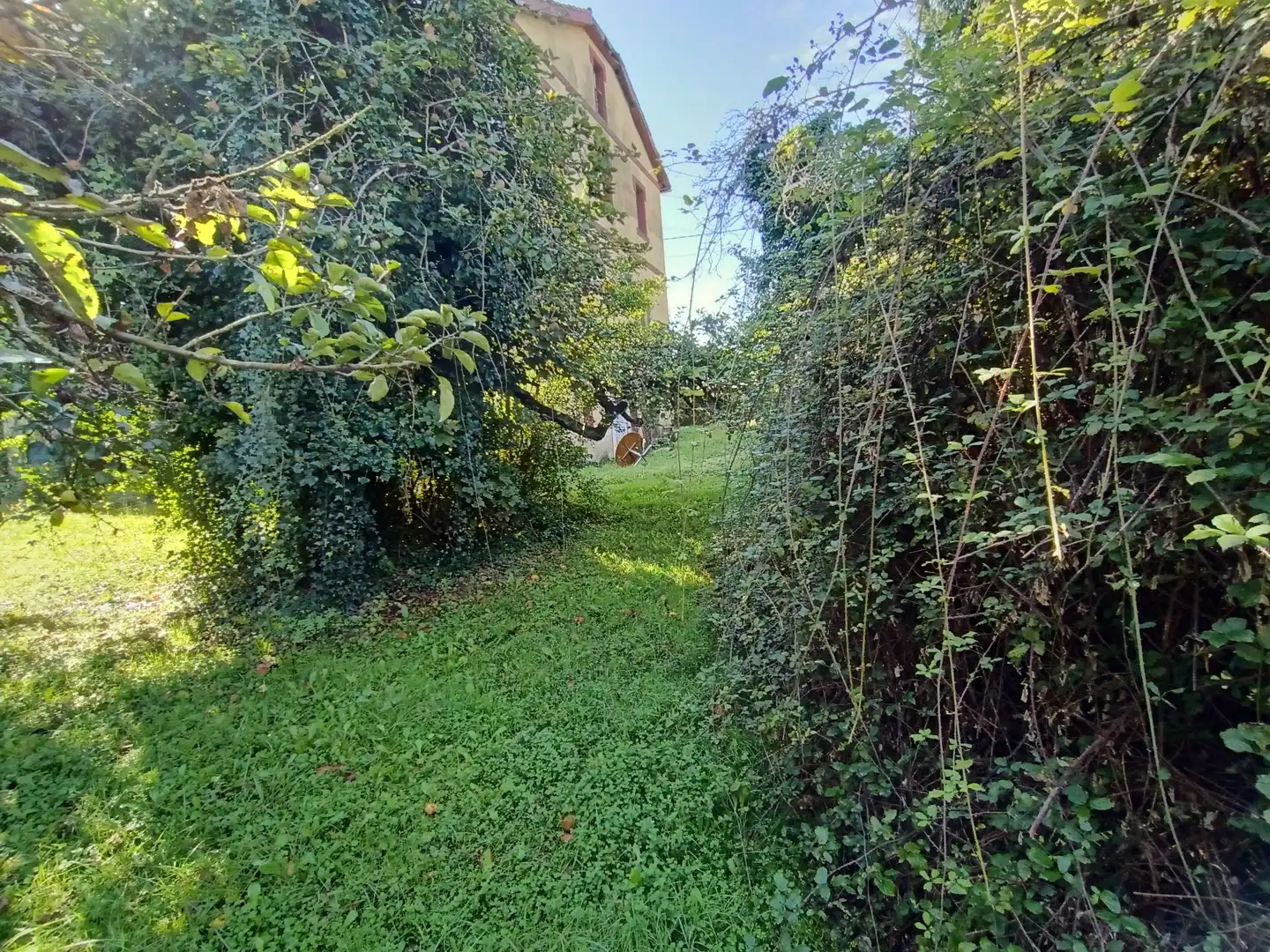 Residential land for sale in Calle Conde de Santa Barbara 31, imagen 26