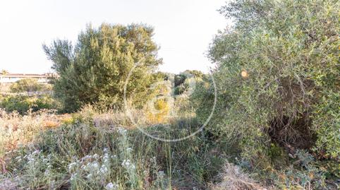 Photo 5 of Residential for sale in Escala Vedrà, 34, Cales de Mallorca, Illes Balears