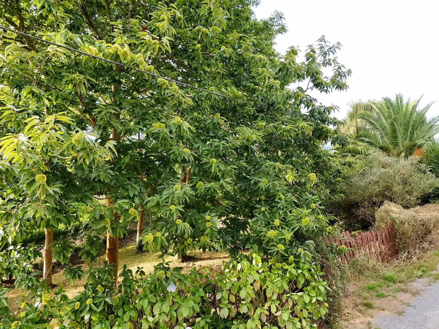 Casa en venta en Trasmonte - Santa Cilla, imagen 28