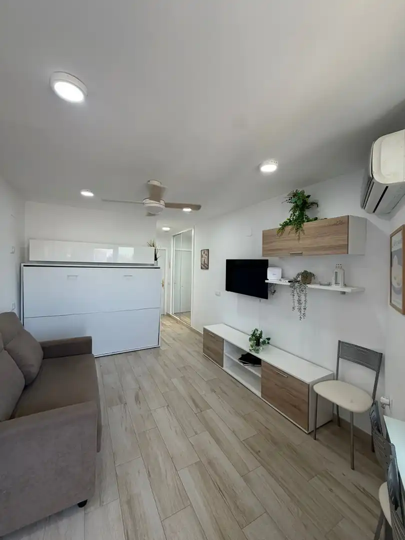 Living room of Study for rent in Benalmádena  with Air Conditioner, Heating and Furnished