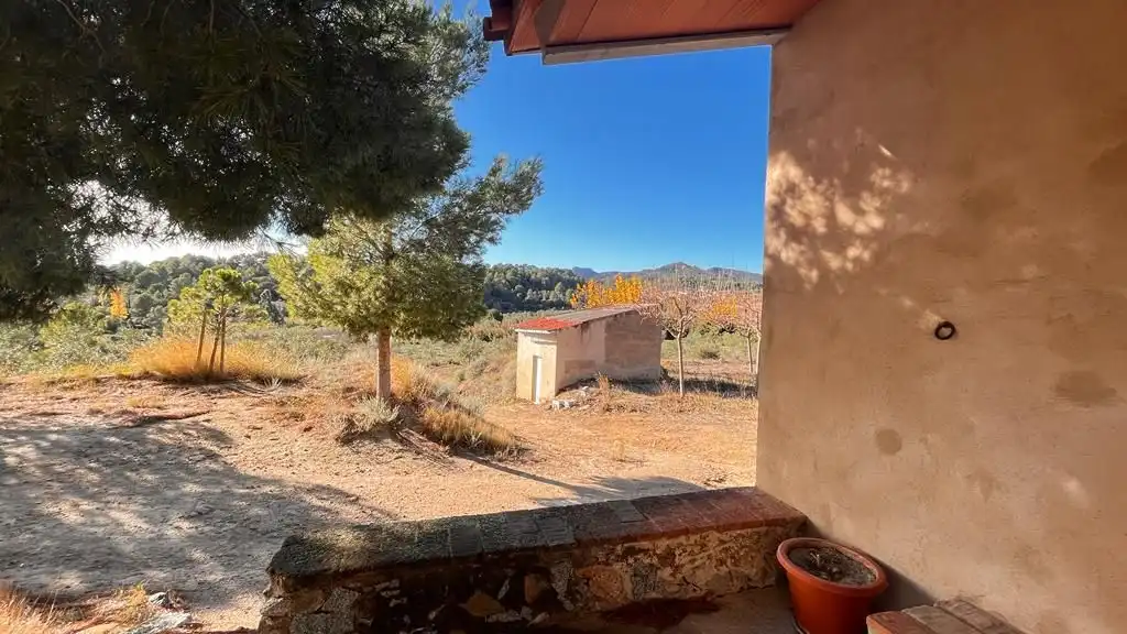 Terreny rústic en venda a Carrer del Dimecres, imagen 3