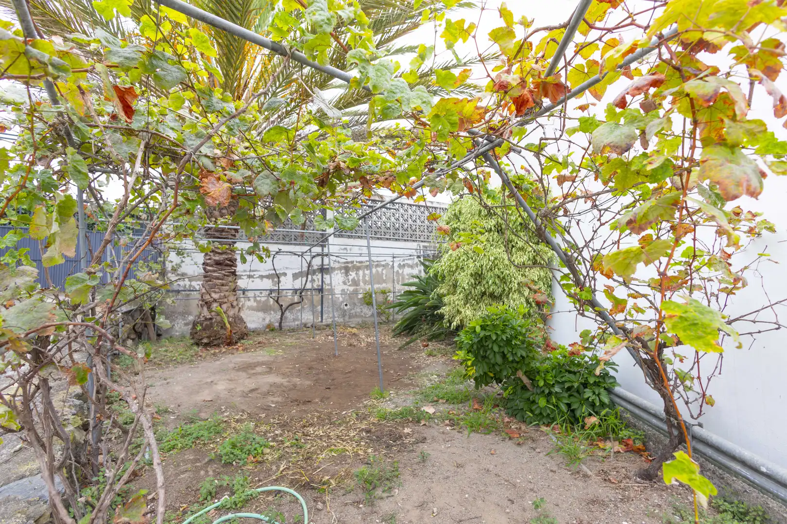 Casa con jardín en alquiler en Cam. los Eres, 30 30, imagen 11