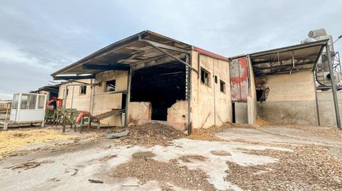 Foto 3 von Fabrikhallen zum Verkauf in Langa de Duero, Soria