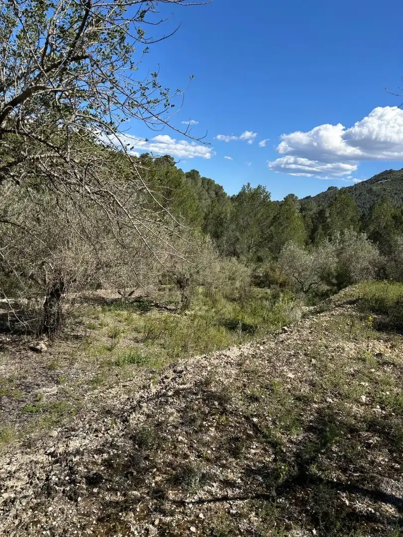 Grundstücke zum Verkauf in Beniardà