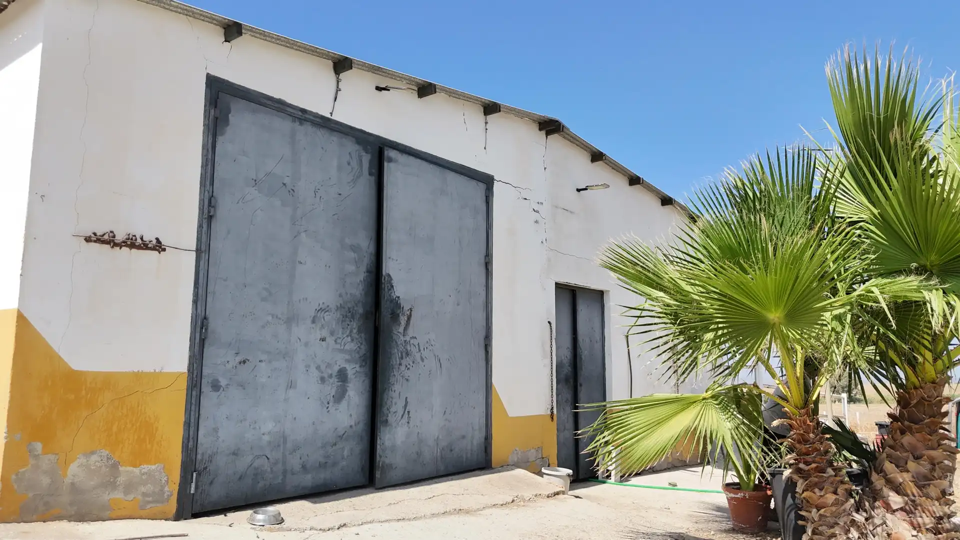 Rural land for sale in Polígono 12 Parcela 177 LA CORIANA. OLIVARES (SEV, imagen 27