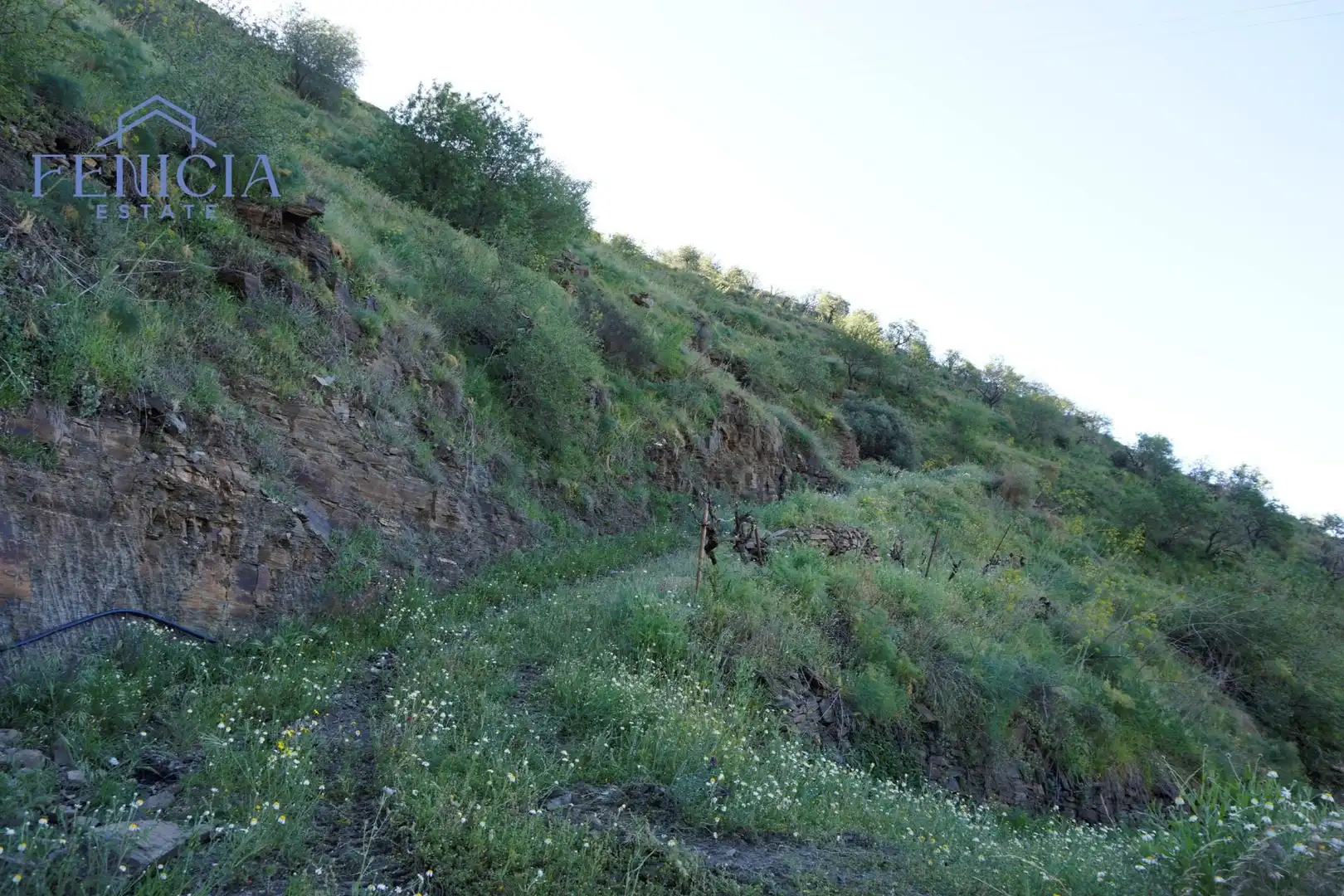 Terreno en venta en Ítrabo