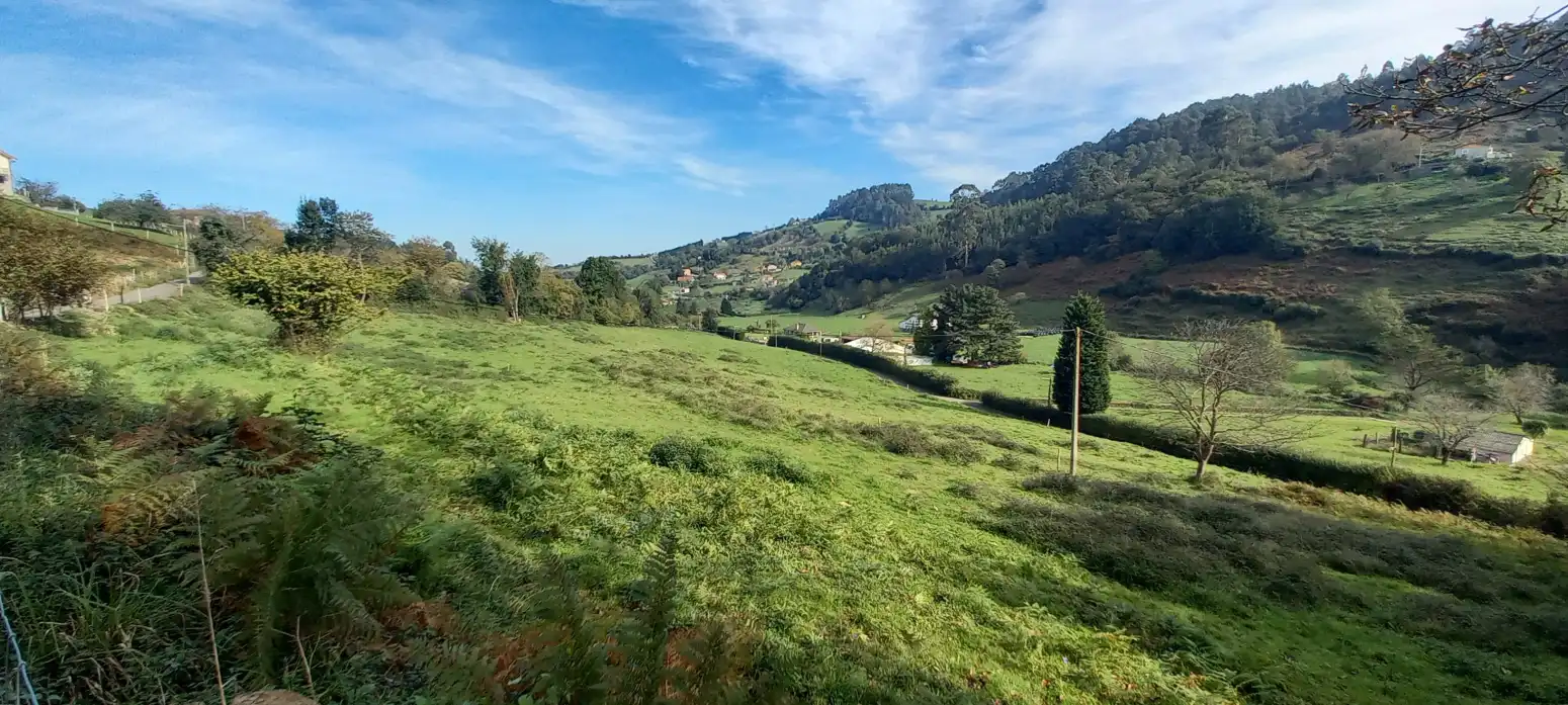 Terreno rustico in vendita a Gijón - CM BURULLINOS-LEORIO, imagen 6