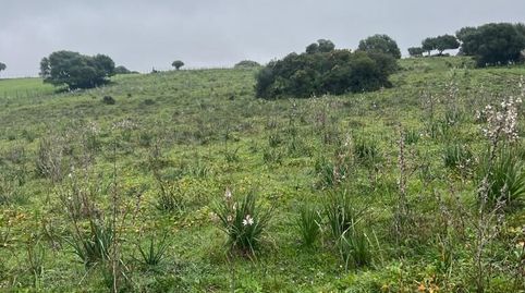 Foto 2 von Residential zum Verkauf in Barbate ciudad, Barbate