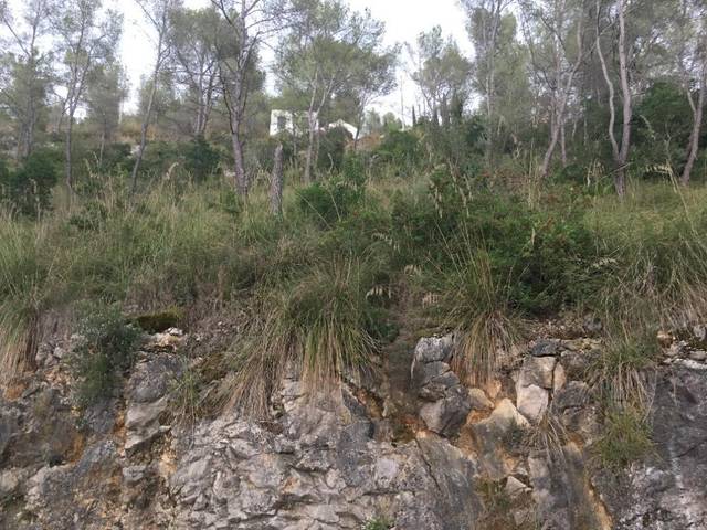 Terreno residencial en Venta en Pirineus (urb Mas Den Mestre), 64-B en Olivella
