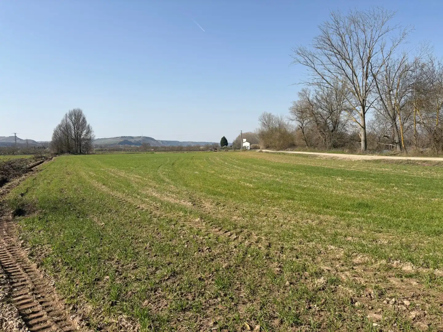 Rural land for sale in Agoncillo, imagen 2