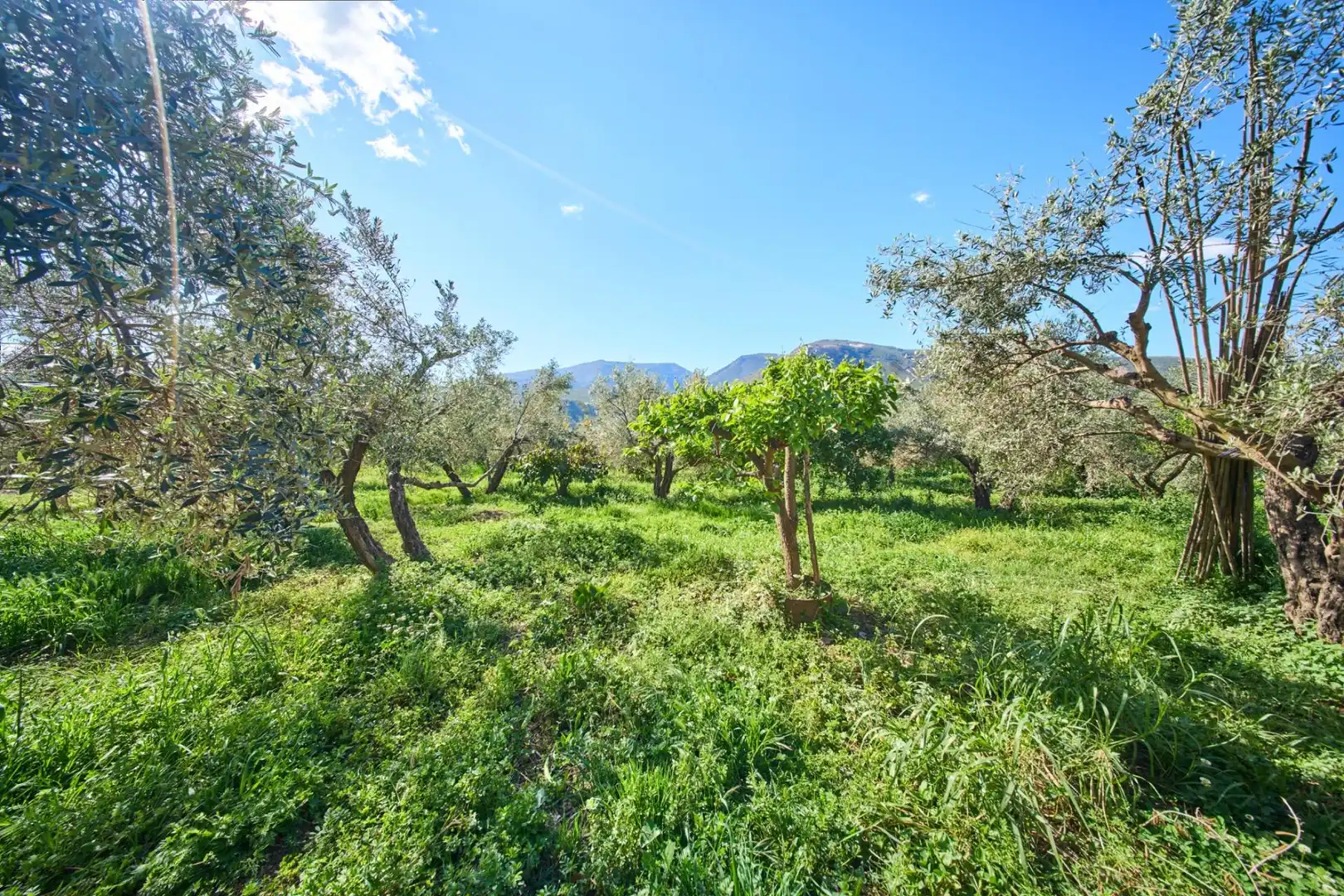 Casa rustica con giardino in vendita a Camino de la Vegueta, imagen 39