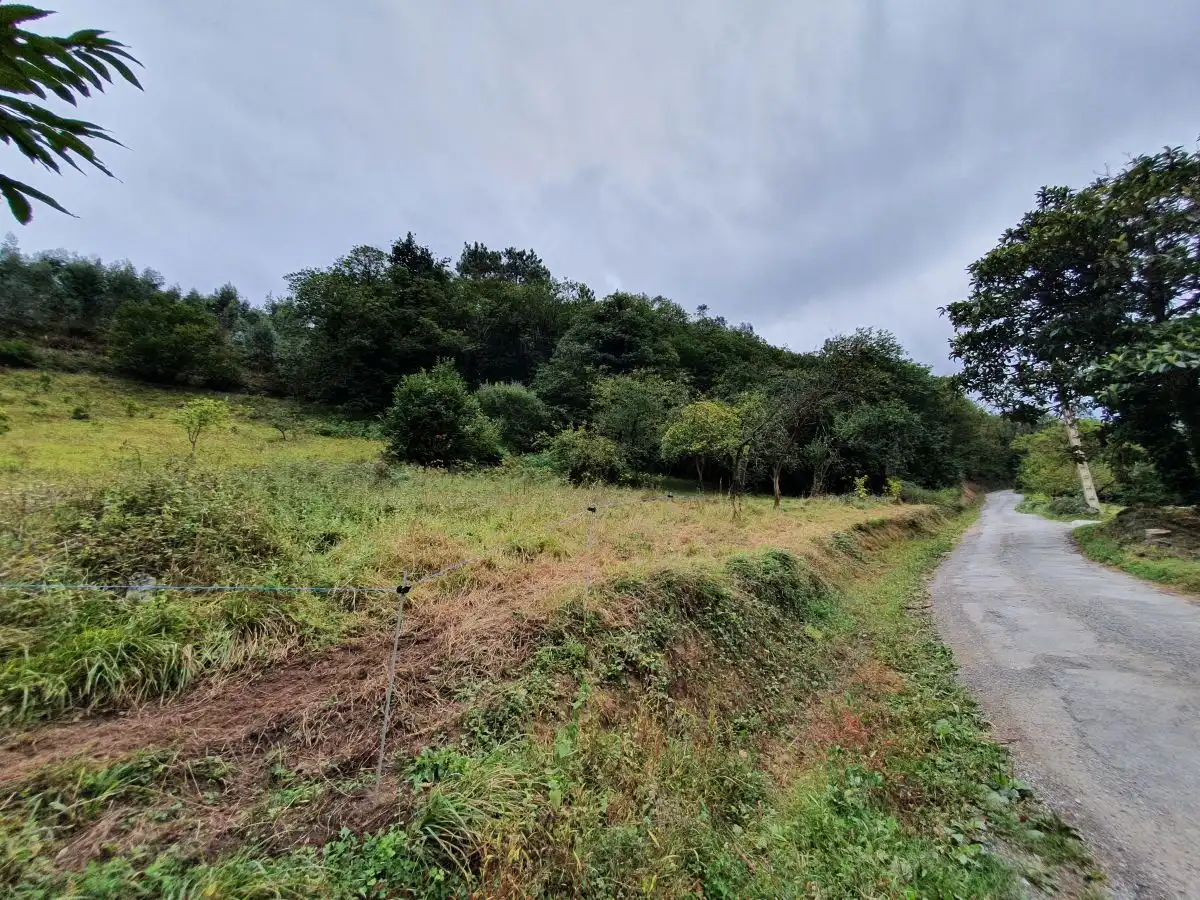 Casa o xalet en venda en Salas amb Jardí privat i Terrassa