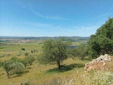 Terreny rústic en venda a Zafra