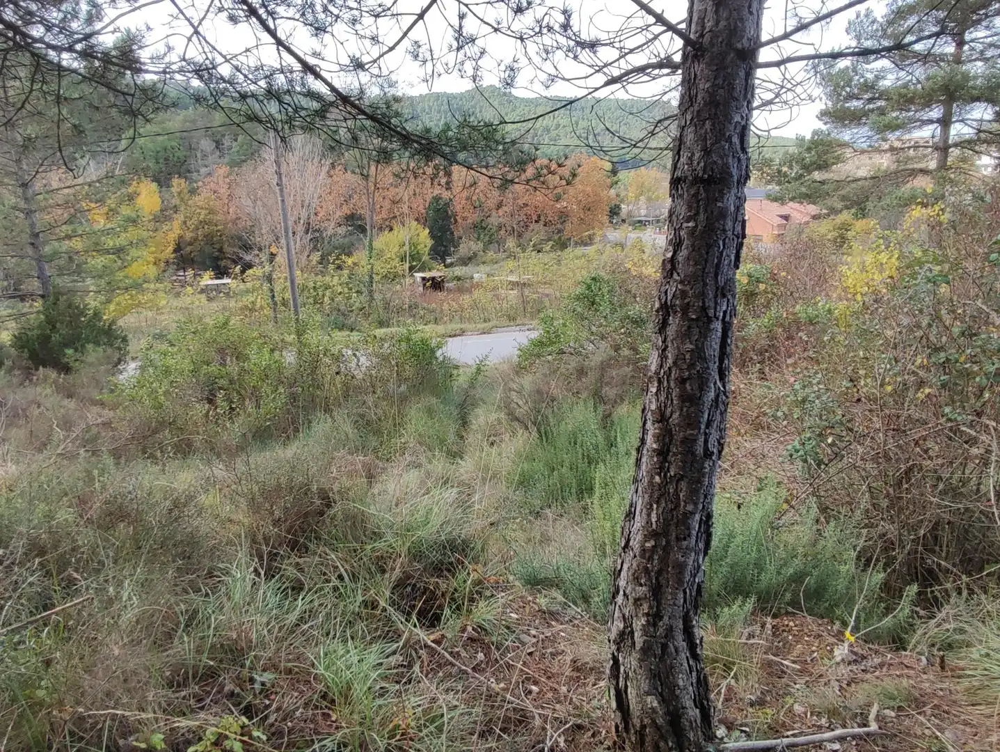 Terrain rustique à vendre à Monistrol de Calders, imagen 39