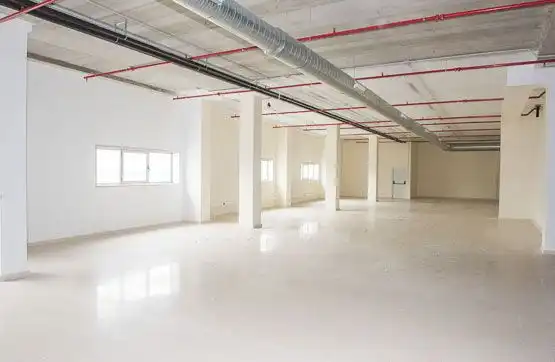 Industriegebäude zum Verkauf in Camino Marquesa, imagen 7