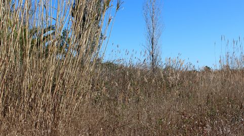 Foto 2 von Residential zum Verkauf in Parque Ribalta - Plaza de Toros, Castellón de la Plana / Castelló de la Plana