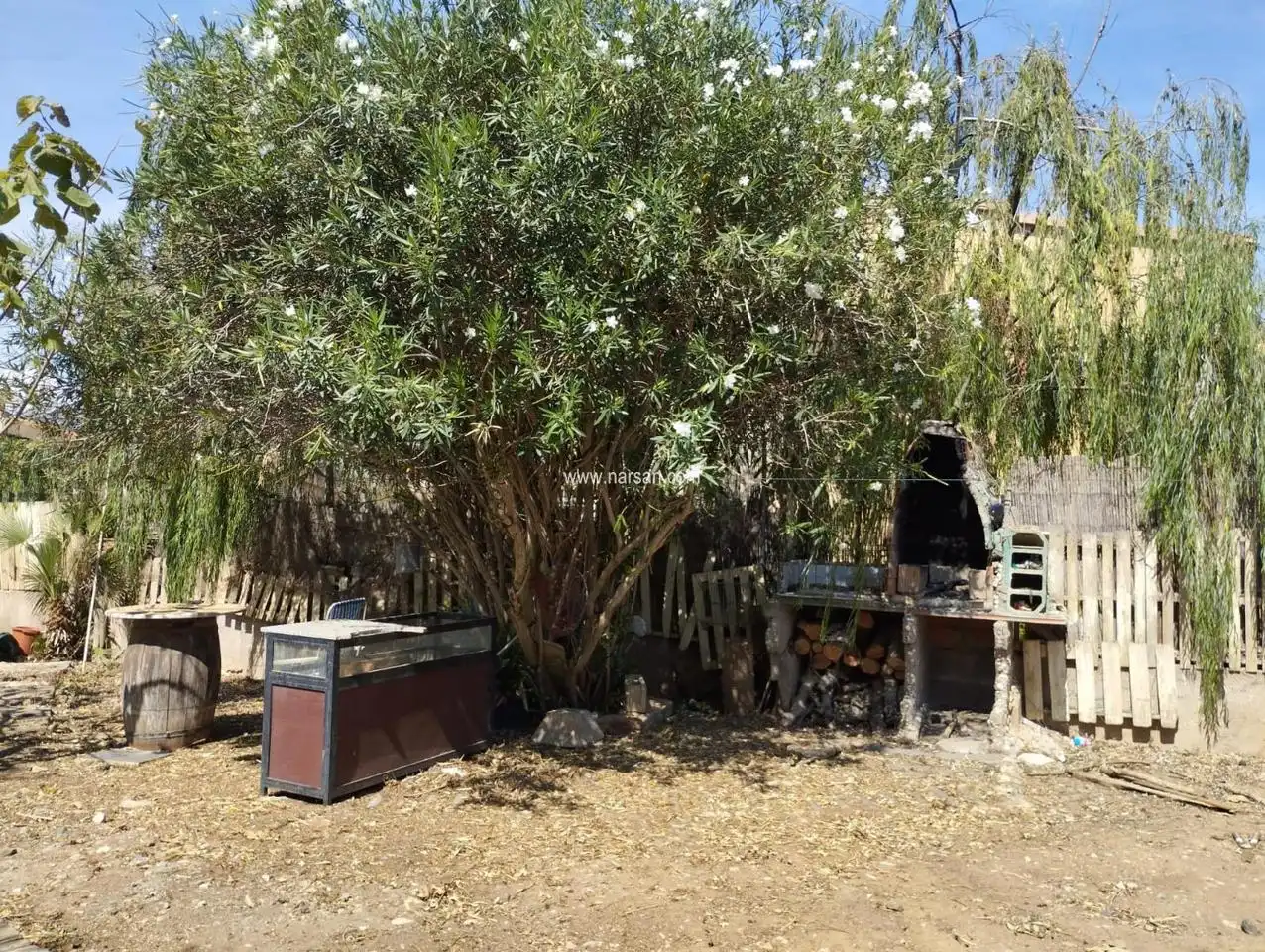 Terreny rústic en venda a Camí de la Travessera, imagen 11