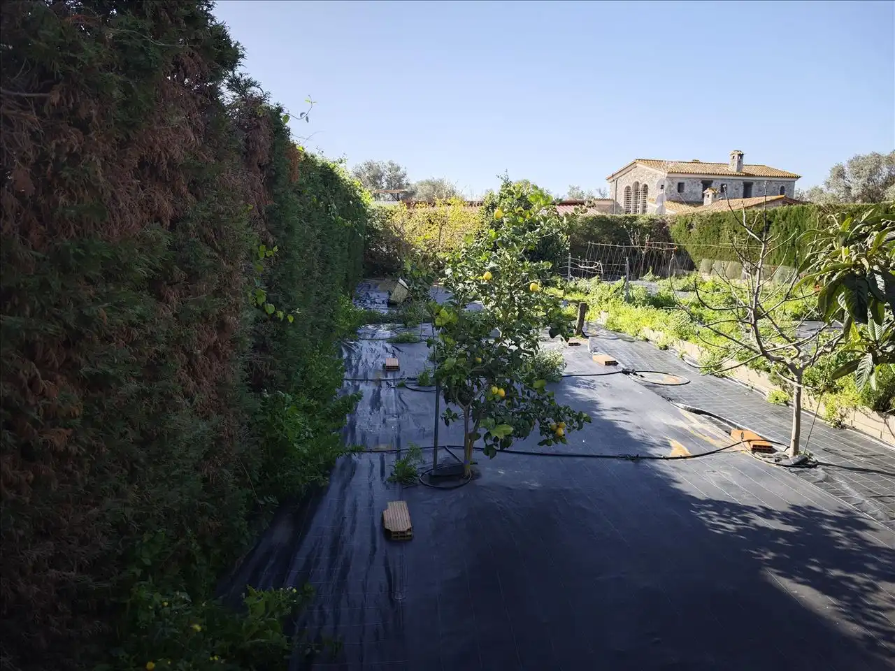 Residential for sale in ROGER DE FLOR, Vilajuïga