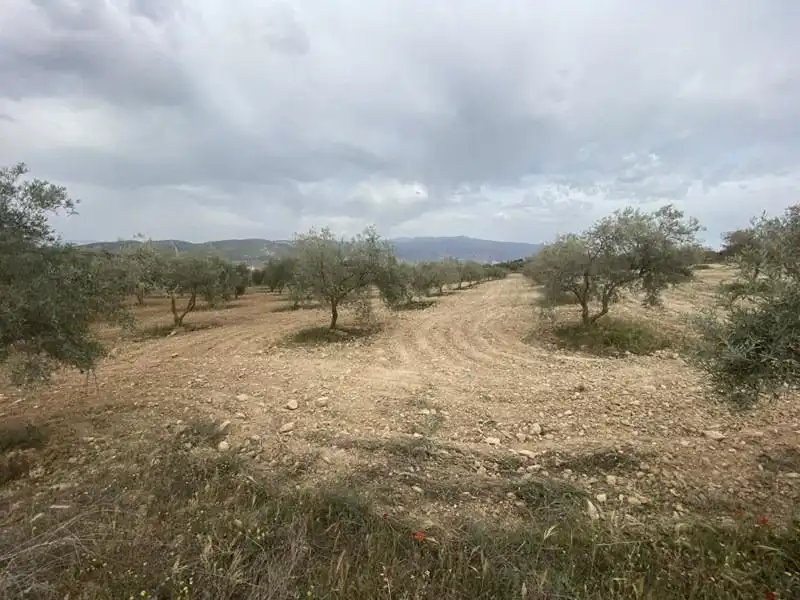 Casa rústica en venda a Padul, imagen 18