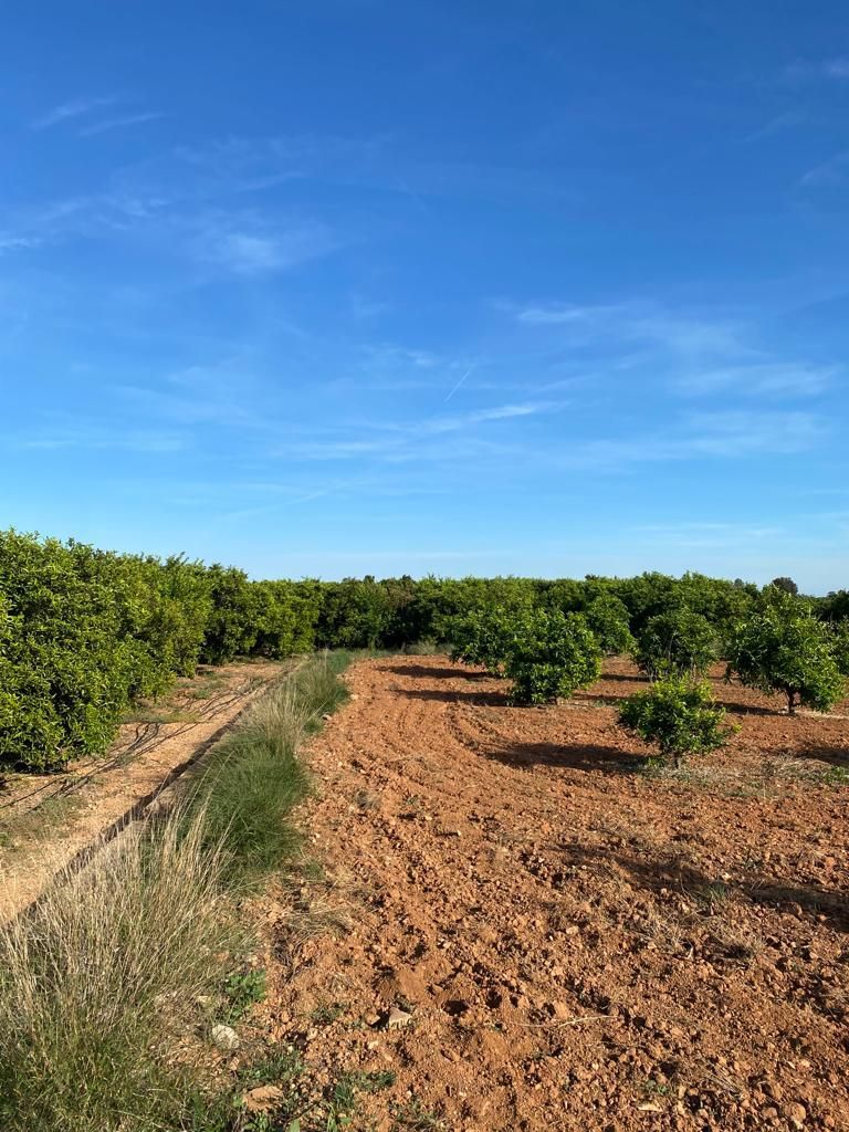 Land for sale in Diseminado Poligon 26, Picassent