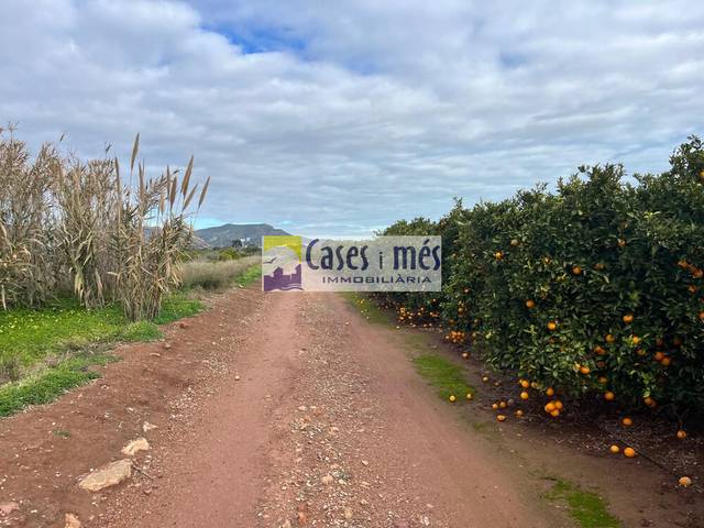 Terreno en Venta en Rafelbuñol / Rafelbunyol