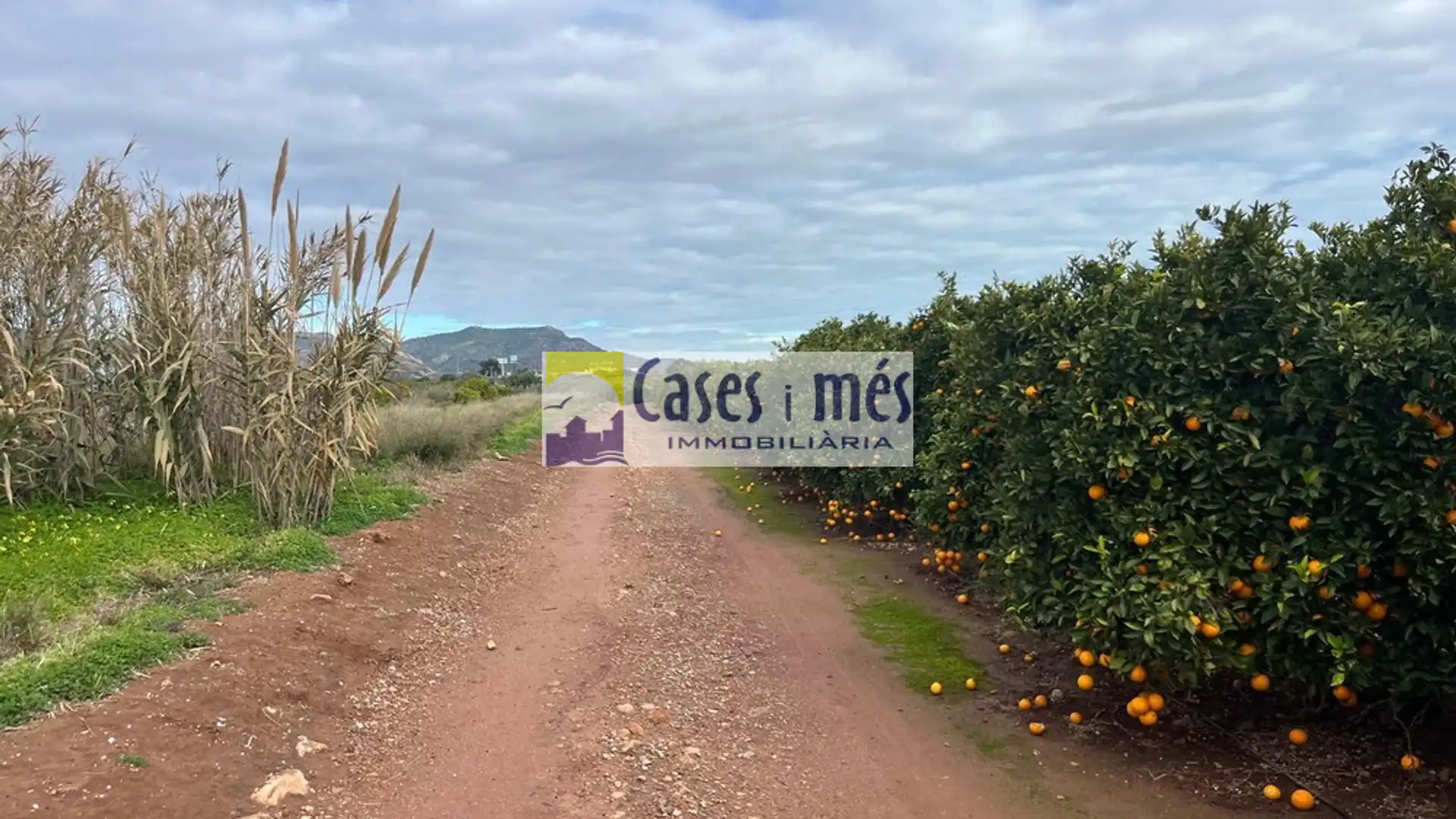 Terreno en venta en Rafelbuñol / Rafelbunyol