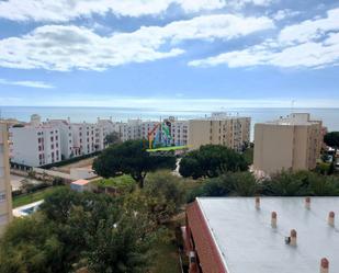 Vista exterior de Estudi en venda en Almonte amb Aire condicionat i Terrassa