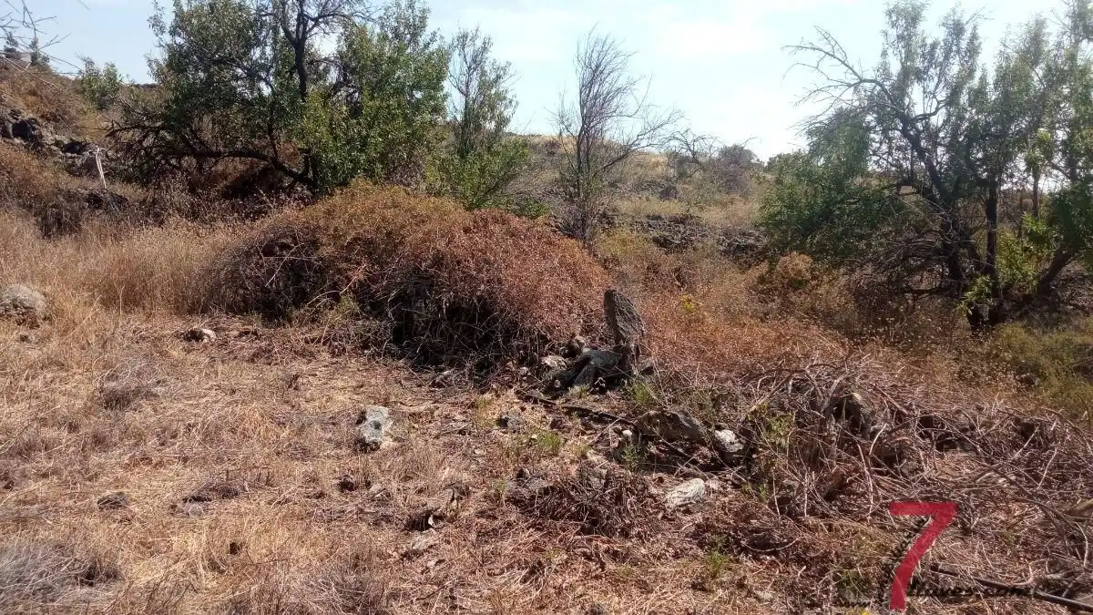 Finca rústica en venta en Santa Cruz de la Palma