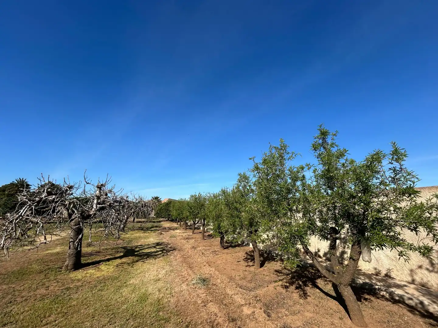 Finca rústica en venta en Cartagena con Jardín privado, Terraza y Trastero