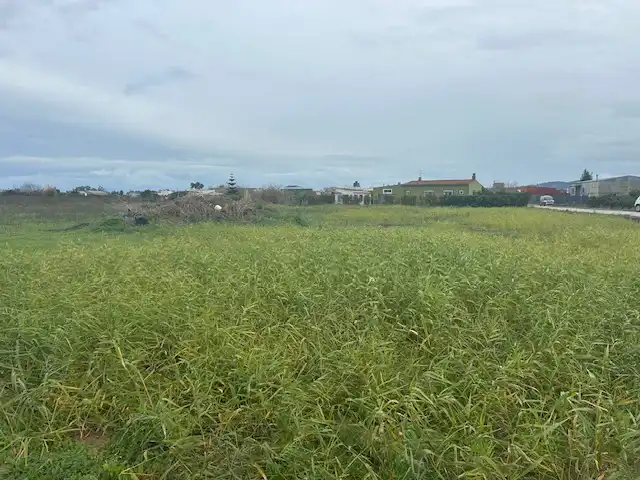 Rural land for sale in Fortaleny, imagen 5