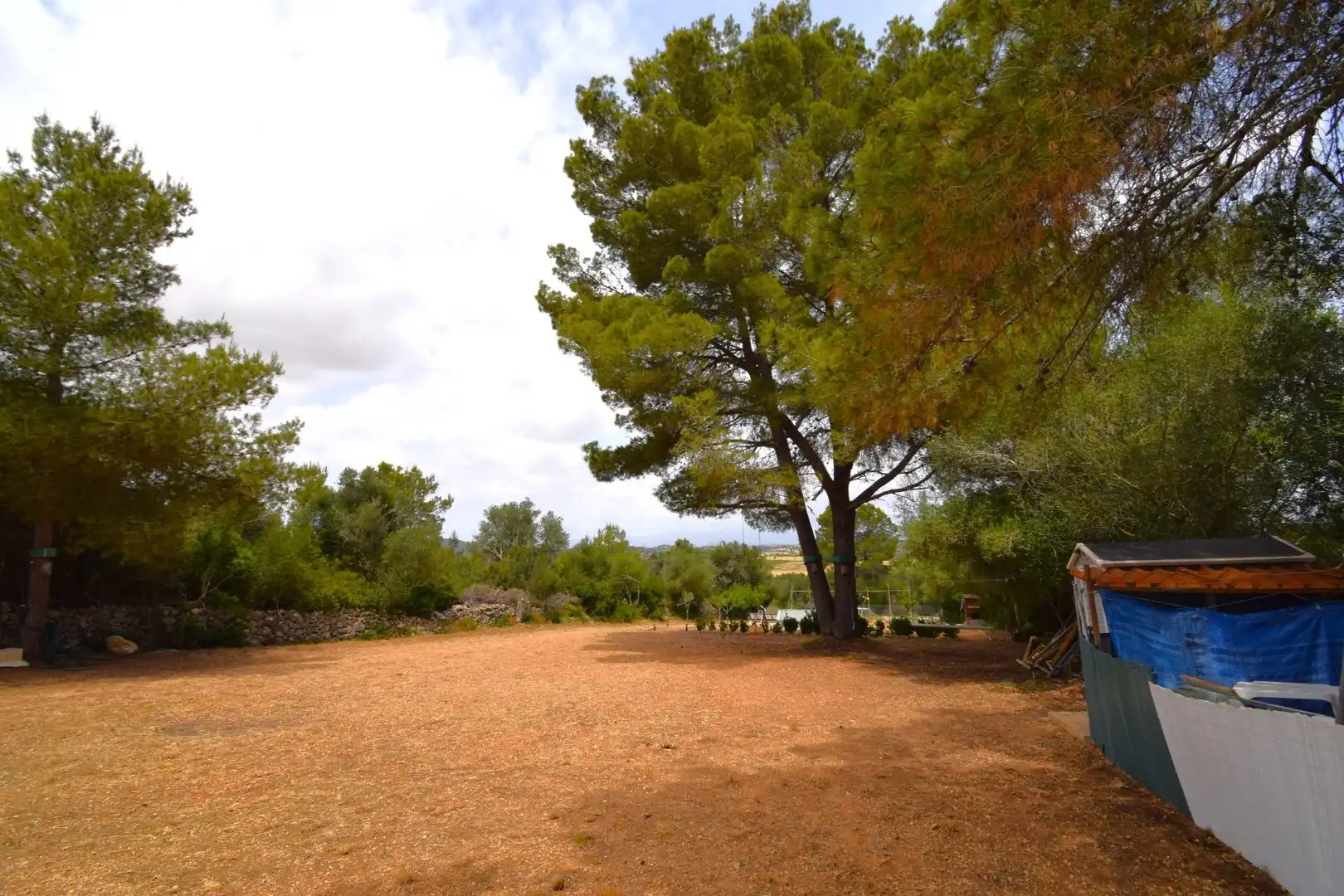 Finca rústica en venda a Petra