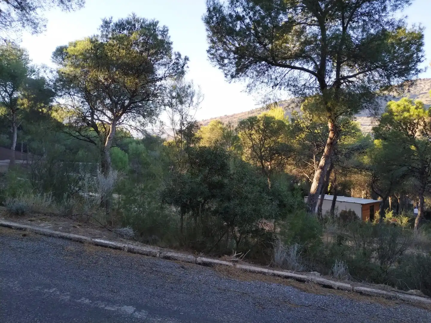 Residencial en venta en Torres Torres