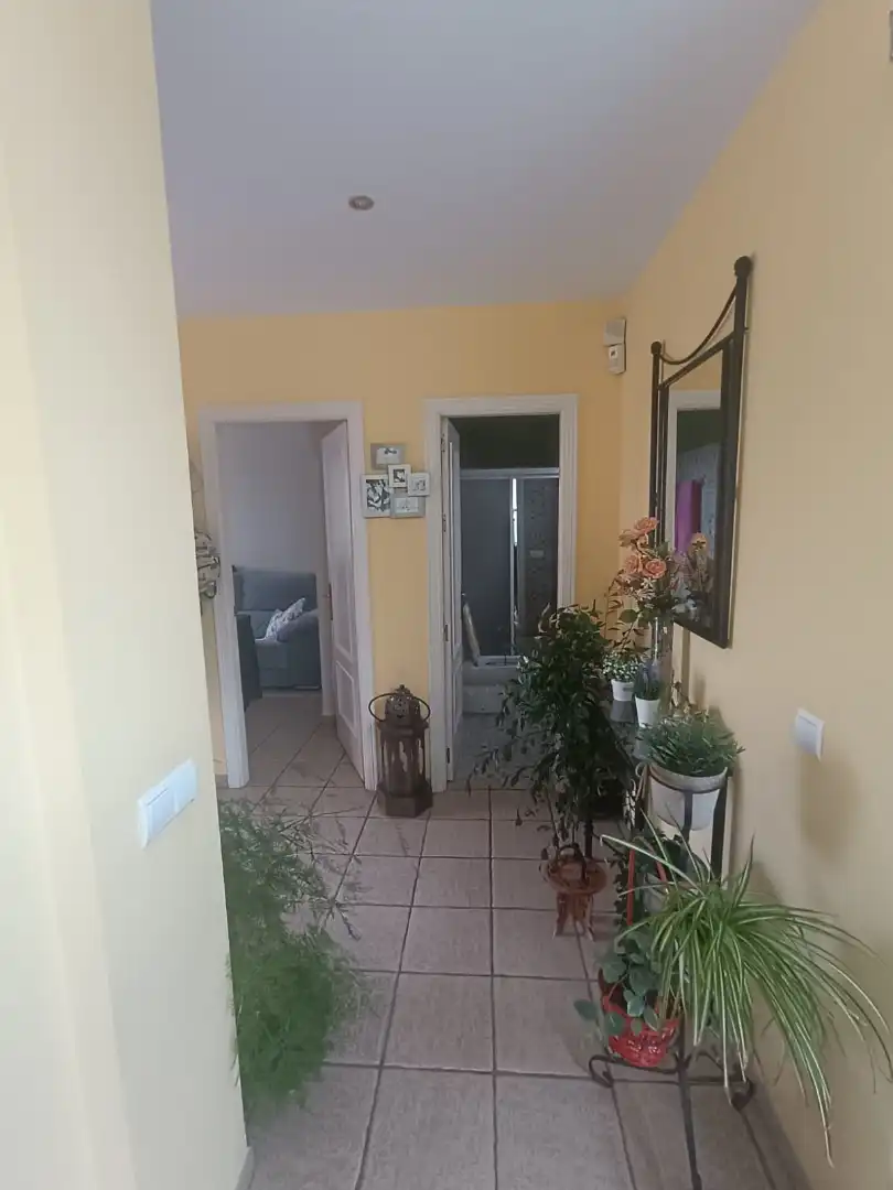 Villa mit Pool zum Verkauf in Olivar de Quintos, imagen 27