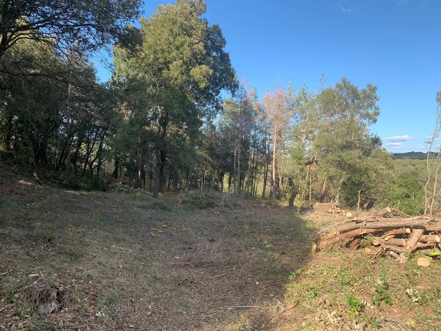 Wohnbaugrundstück zum Verkauf in BOSC DEL MASSO 4