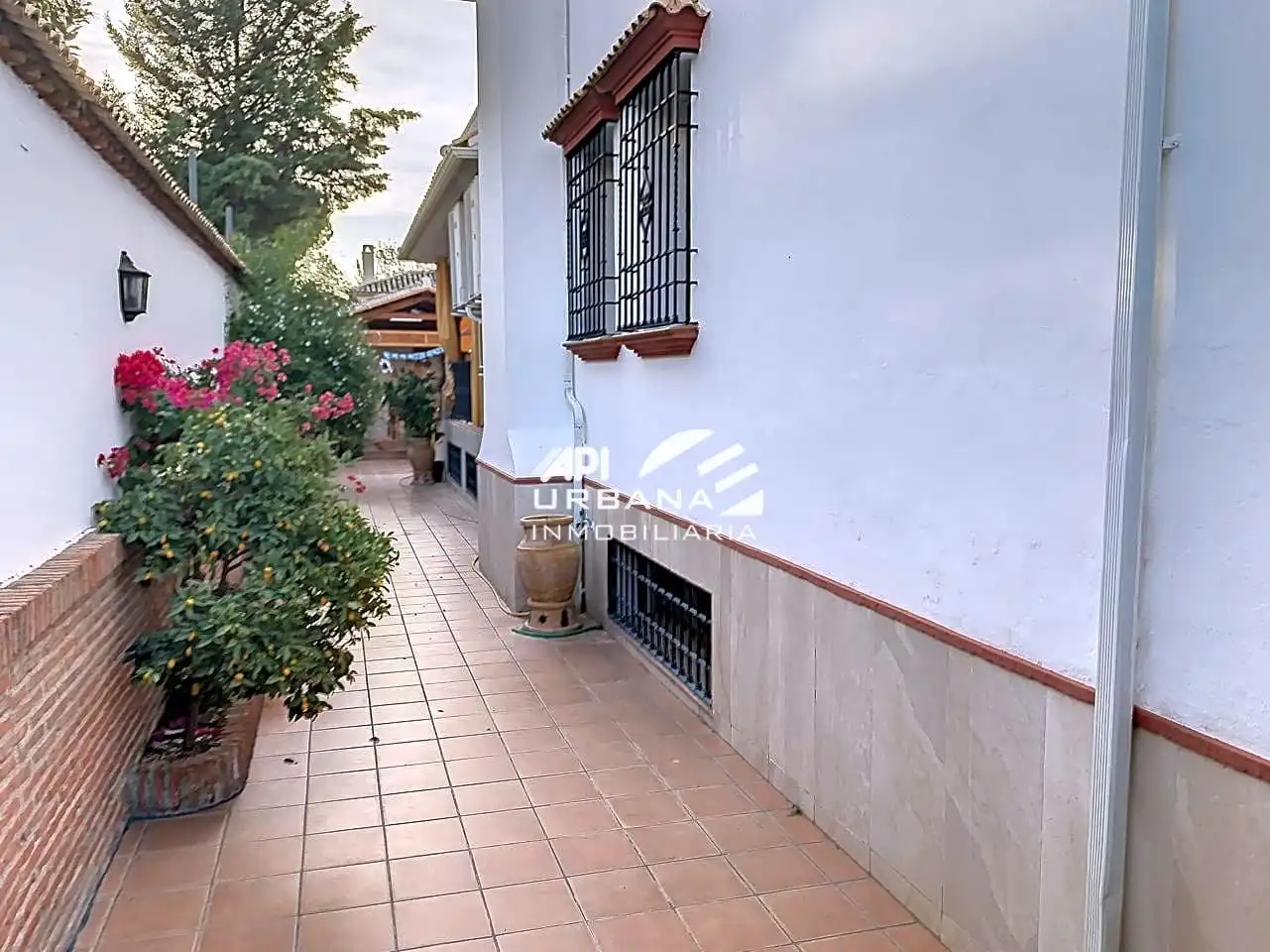 Vista exterior de Casa o chalet en venta en Lucena con Aire acondicionado, Jardín privado y Terraza