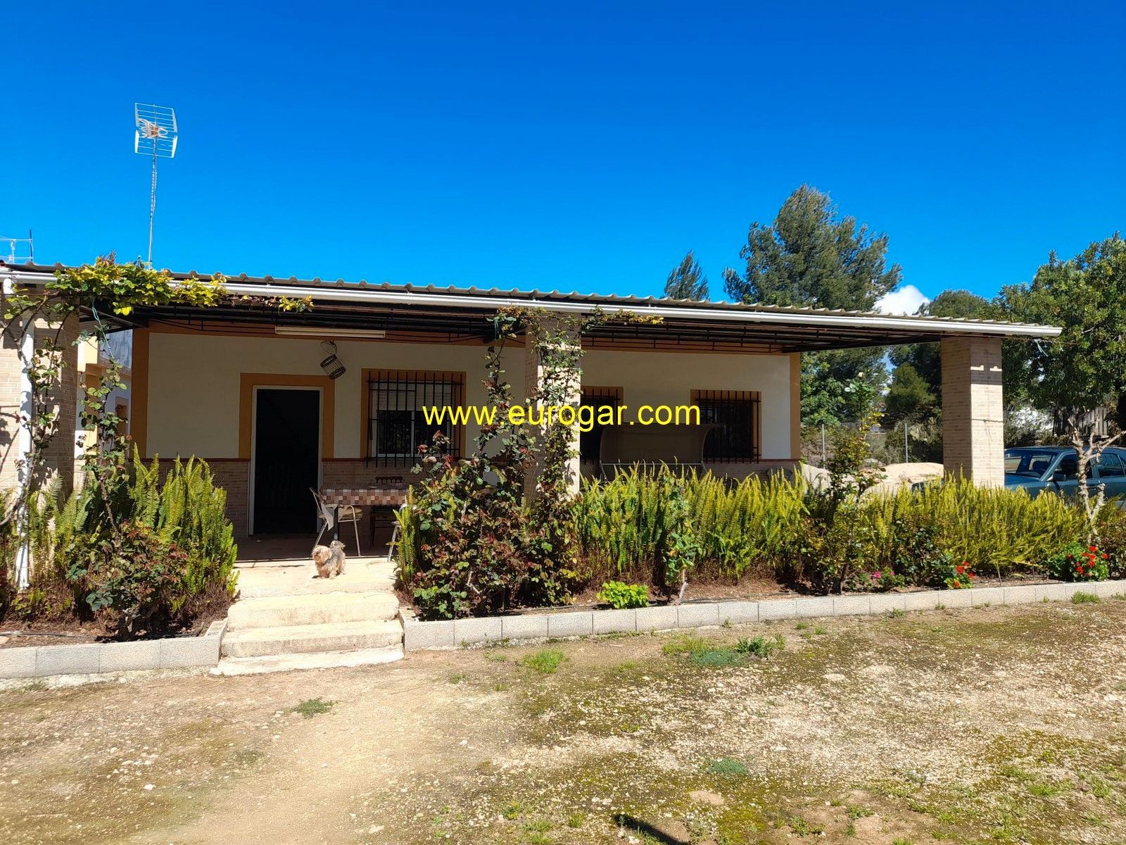 Jardí de Casa o xalet en venda en Cheste amb Jardí privat, Terrassa i Traster