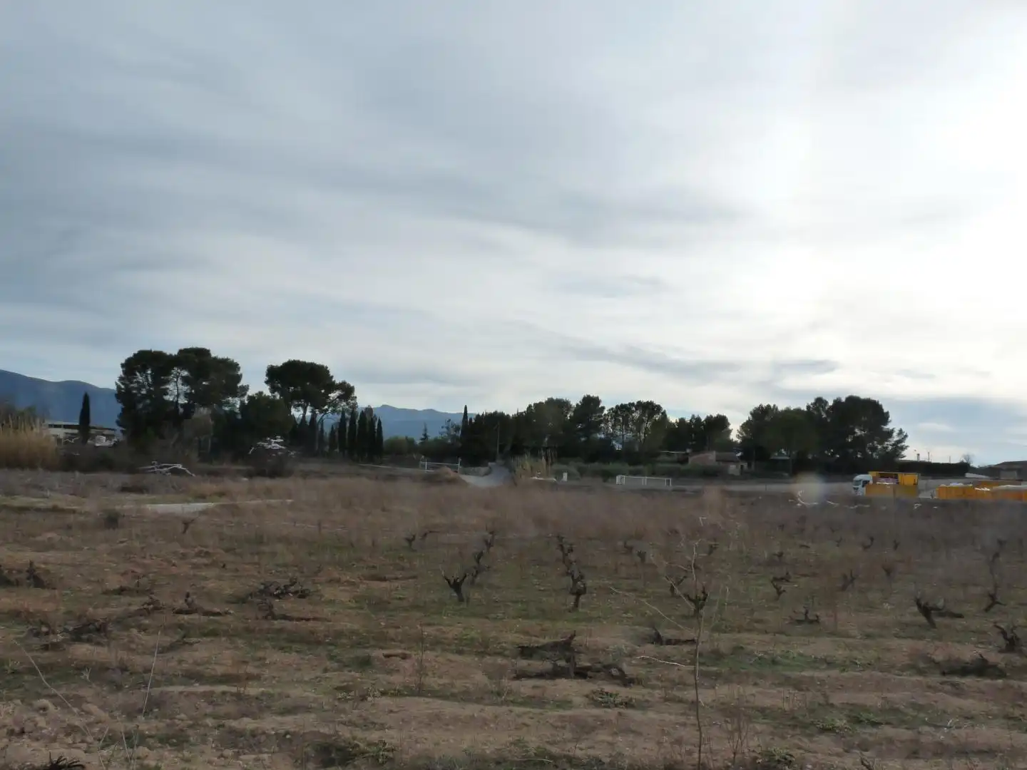 Land for sale in Benissuera