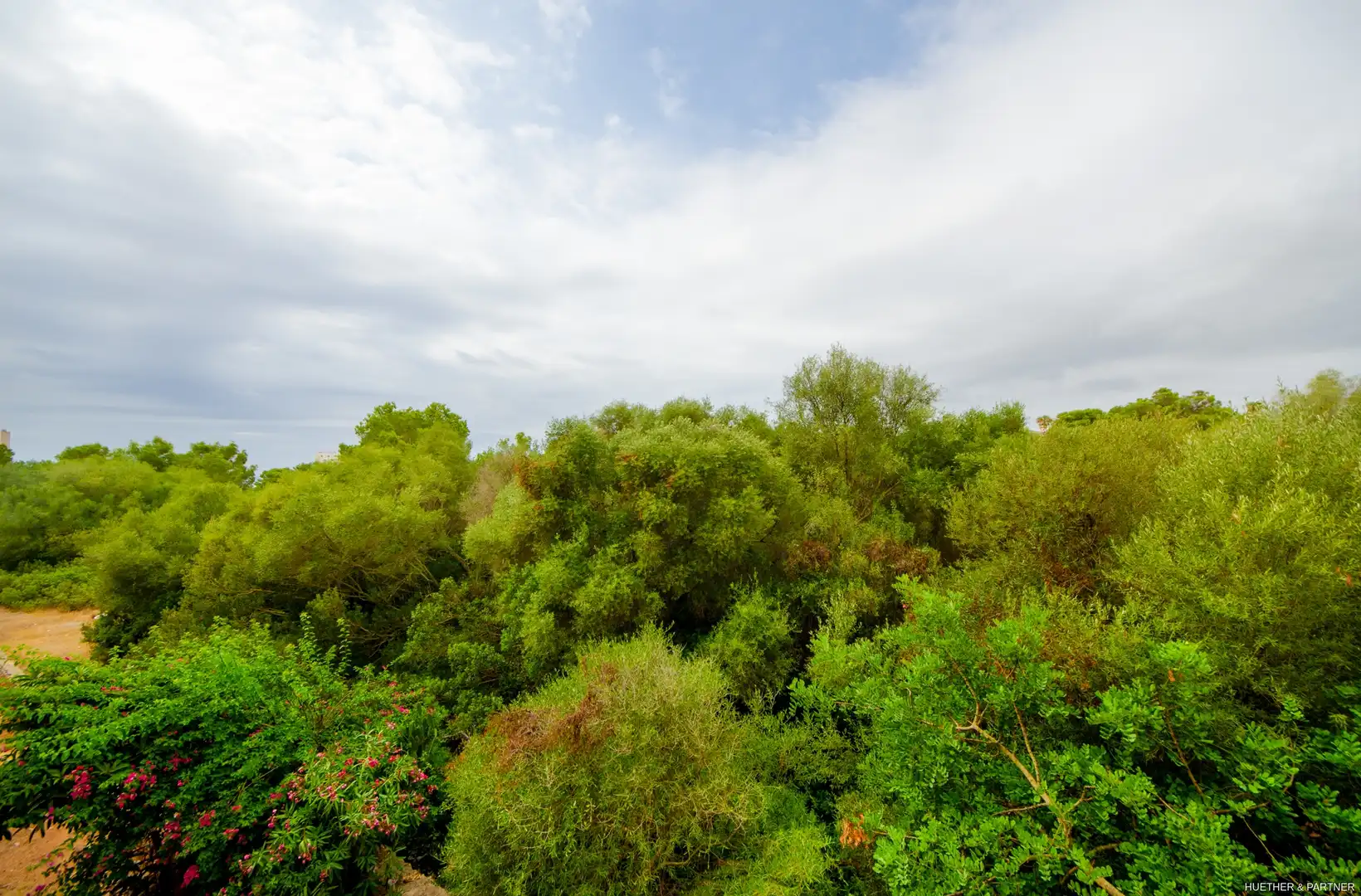 Wohnung zum Verkauf in Manacor mit Klimaanlage und Möbliert