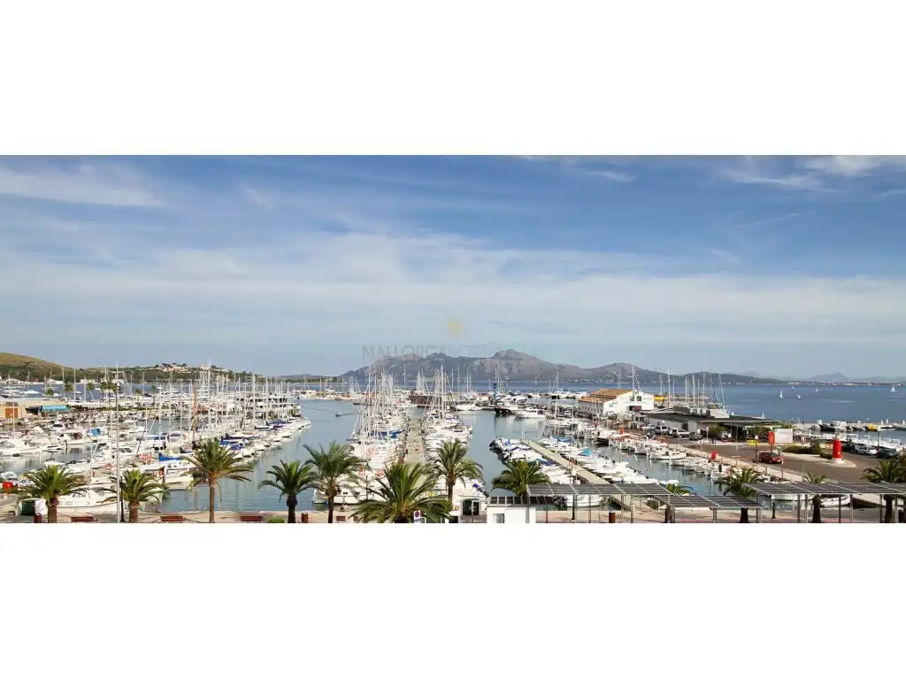 Apartments for rent in Paseo Saralegui, Port de Pollença