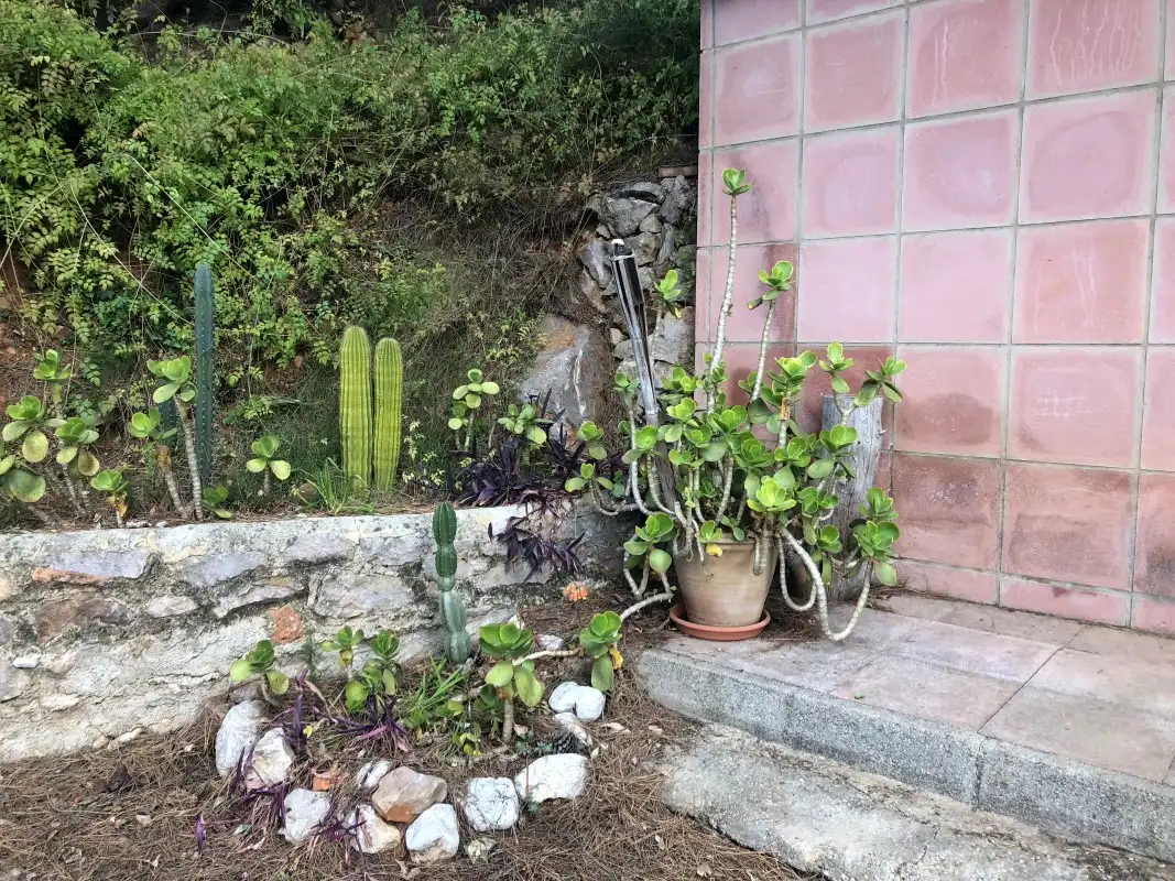 Country house with garden for sale in Almoines, imagen 9