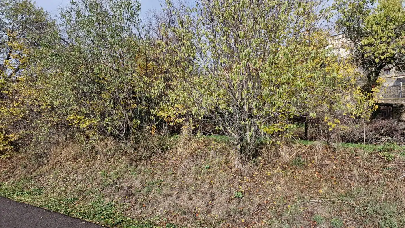 Residential zum Verkauf in Canal de Berdún